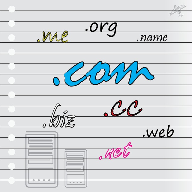 Registering and obtaining your Domain Name CanDo